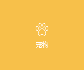 宠物APP开发